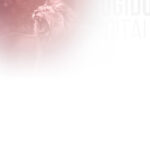 BG-03v2-mobile